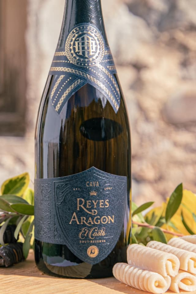 Reyes de Aragon El Casto