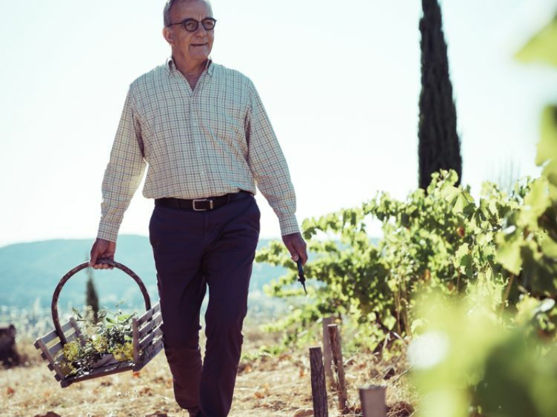 La Renjardiere Herve Dupont