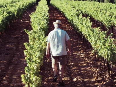 La20 Renjardiere20 Header20 WEB